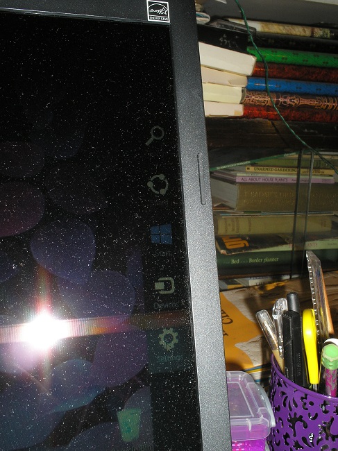 OLYMPUS DIGITAL CAMERA