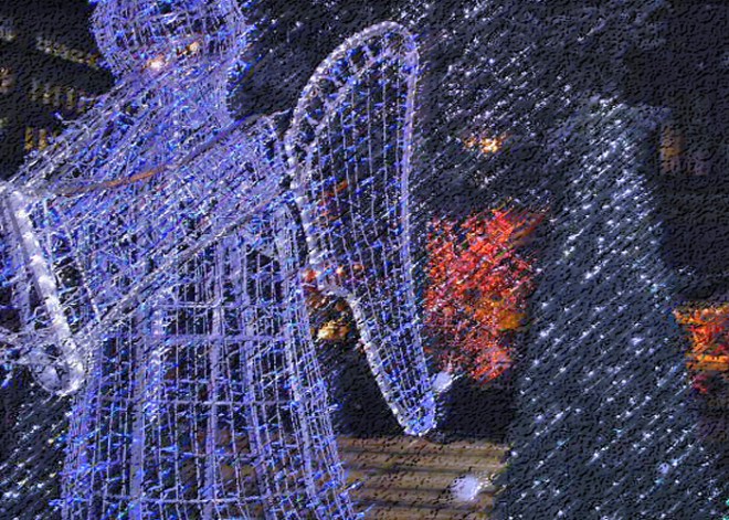 OLYMPUS DIGITAL CAMERA